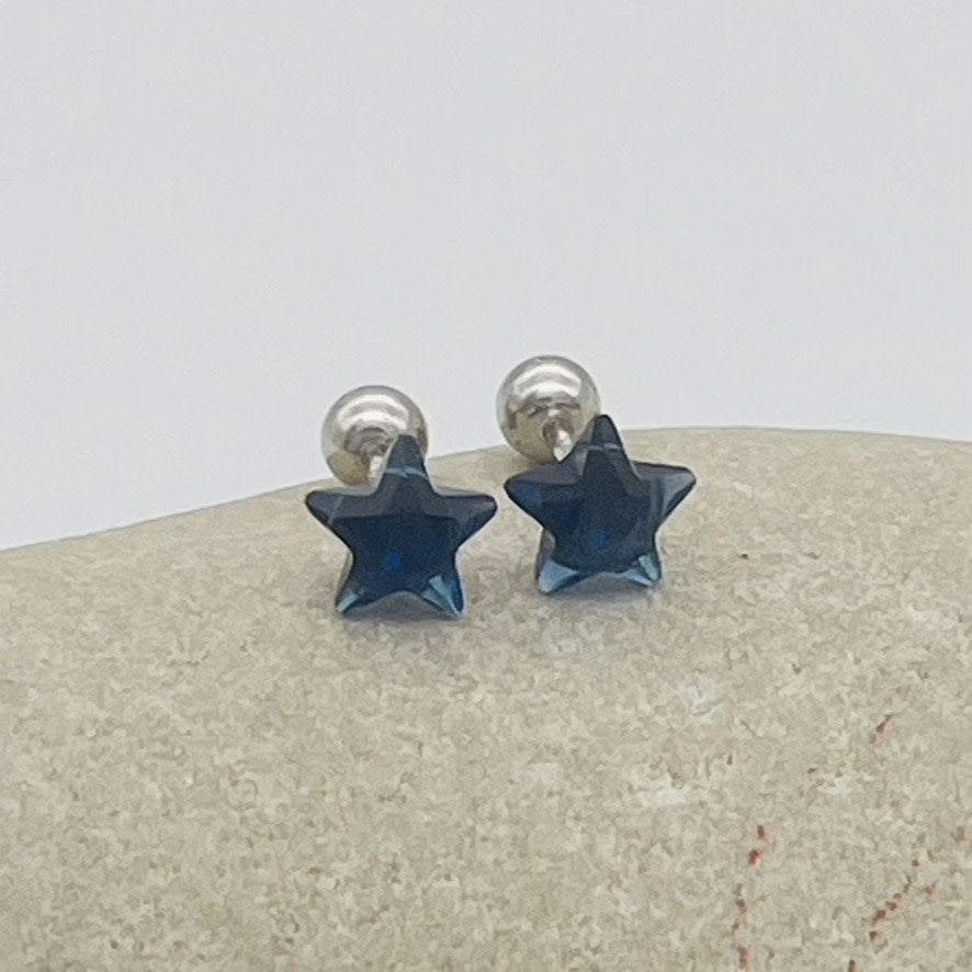 C1353 SW Indigo Stars Earrings