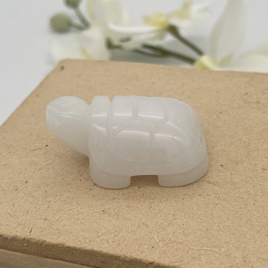 ST1583 White Jade Turtle