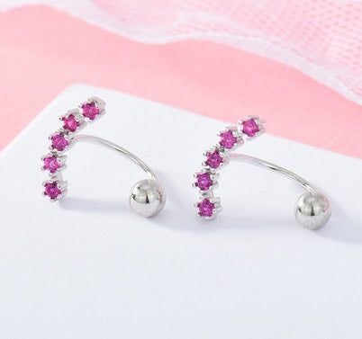 Z1622ER Pink Earrings