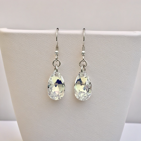 C953SW Drop Earrings