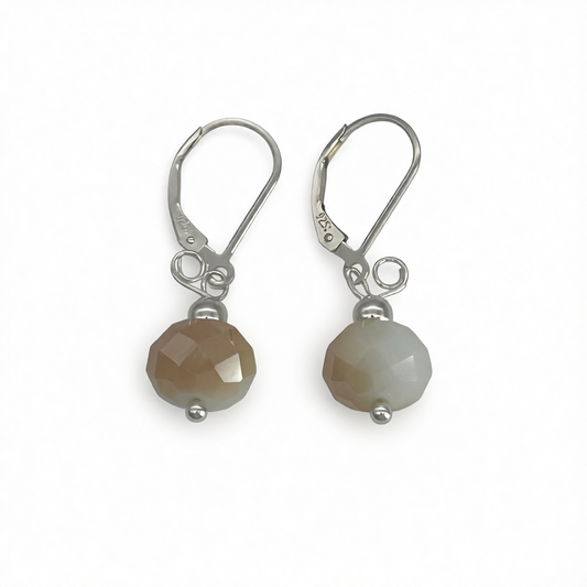 C1500 Brown Earrings