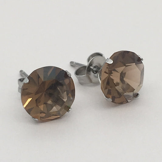 SS1040ER Surgical Steel Earrings