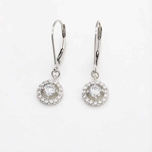 Z1931 Clear Earrings